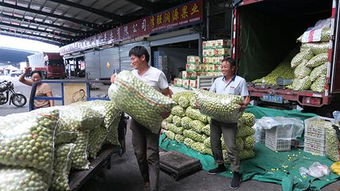 临沂北环农产品批发市场举办吃西瓜大赛庆周年